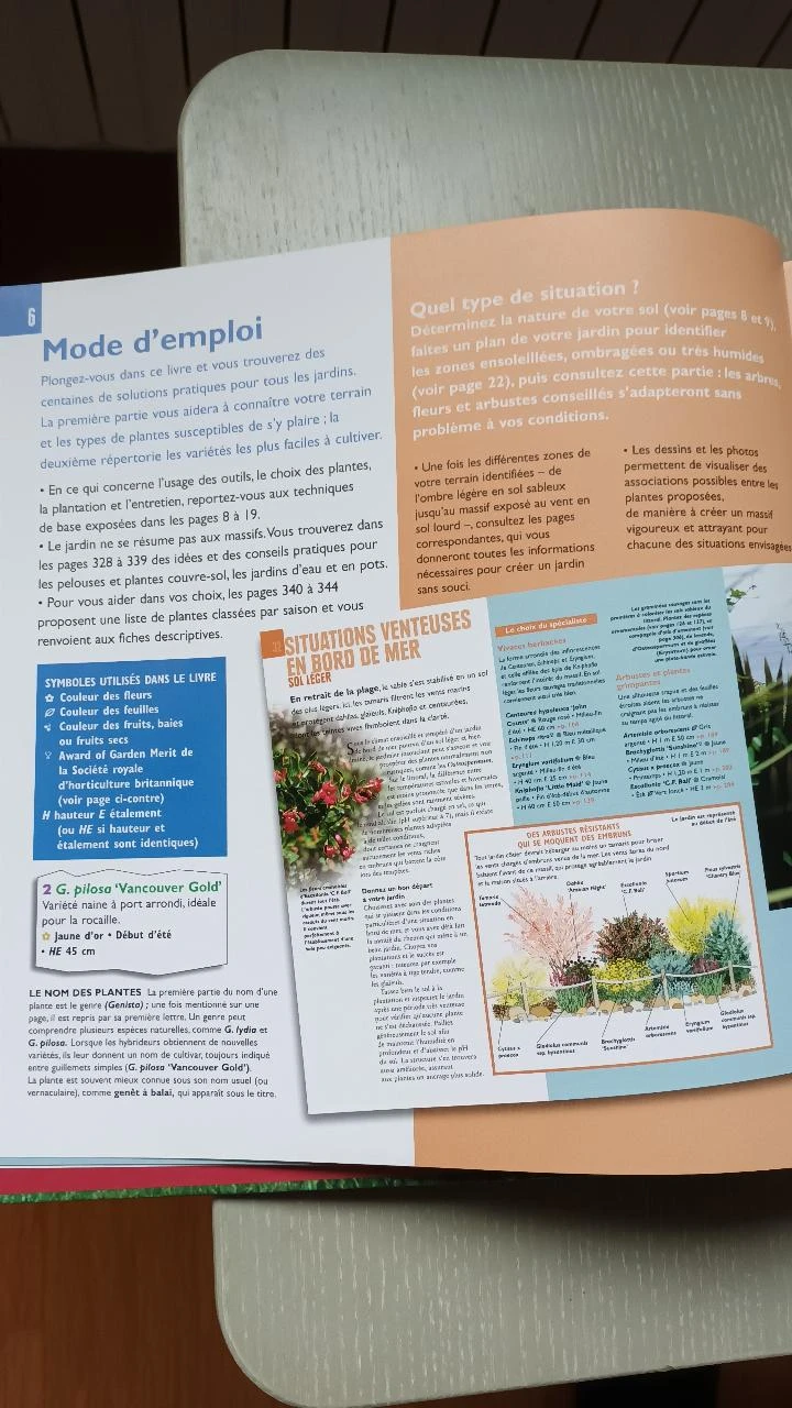 Um jardim sem preocupações – photo 4